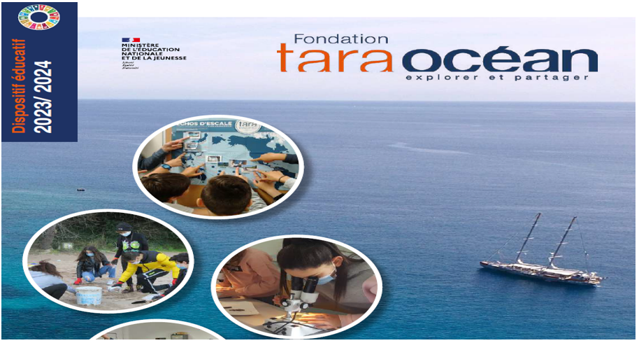 Fondation Tara Océan : des ressources pédagogiques du primaire au lycée